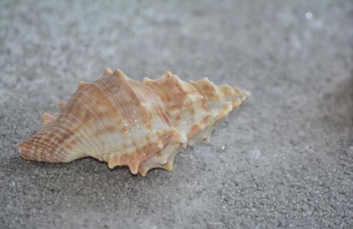 Apartment Nadoveza - Foto 56