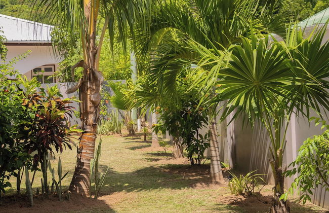 Palm Holiday Apartments - Foto 46