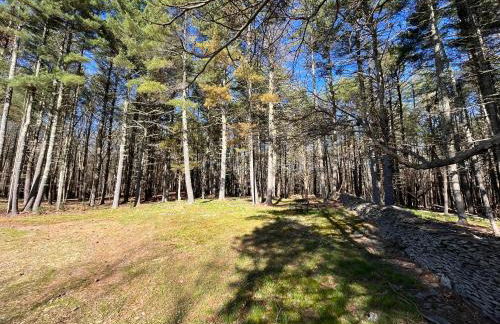 Beautiful Charming Cottage 4 min from Woodstock - Foto 52