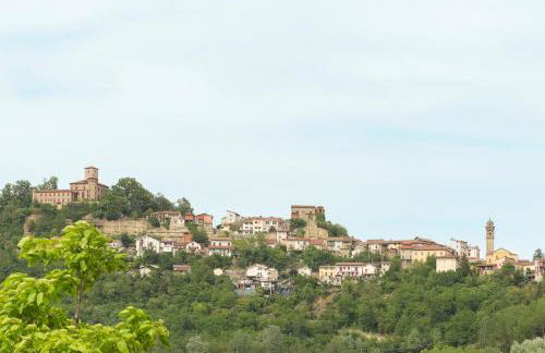 White Tail Organic Farm - Foto 63