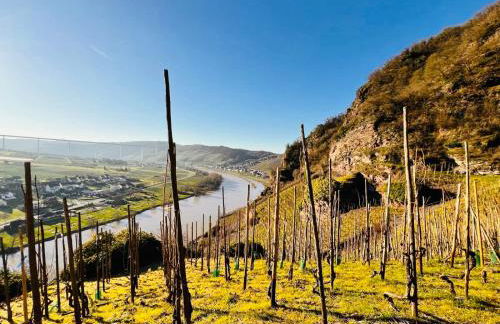Gut Försterlay - Exklusive Boutique Apartments im historischen Winzerhaus direkt an der Mosel - Foto 76
