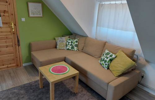 Cztery Pory Warmii Pluski pokoje do wynajęcia - Foto 31