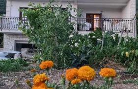 Oasis apartment with sea view and garden - Photo 8