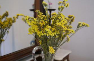 Quinta dos Caseiros do Paço de Giela - Foto 20