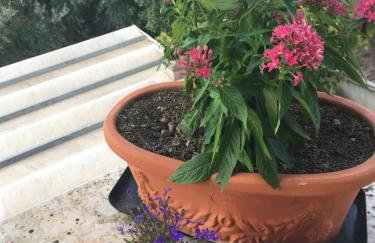 Aria Apartments - Foto 7