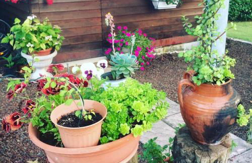 Villa Margherita - Foto 34