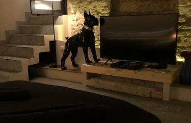 jaccuzi & spa des caves Stanislas - Foto 13