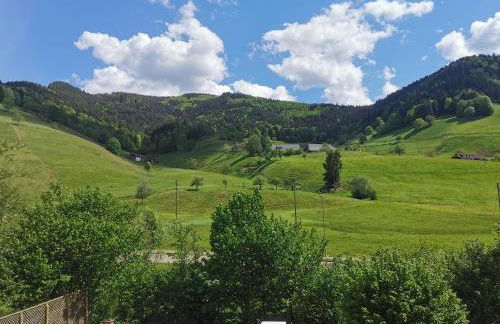 Ferienwohnung Vogelsang im Schwarzwald - Foto 36