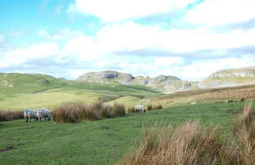 Squirrel Lodge - Foto 25