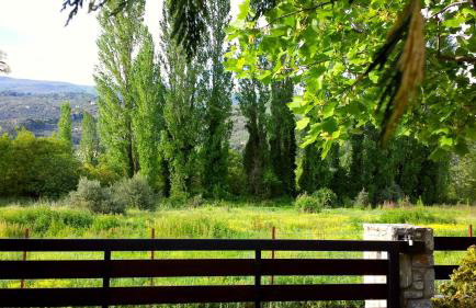 To Spiti - Pelion House - Foto 7