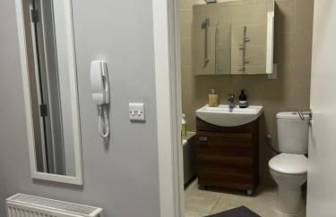 Fabulous & Spacious Garden Flat near Kings Cross St Pancras - Foto 22