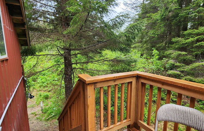 Bear Necessities Cottages - Foto 33