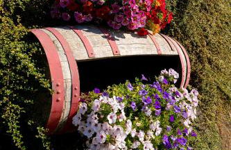 casa vacanza da ghislin - Foto 7