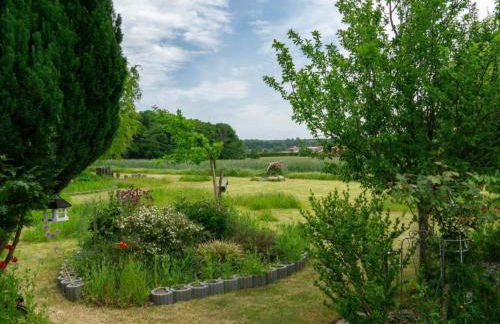 Apartment Schmetterling by Interhome - Foto 19