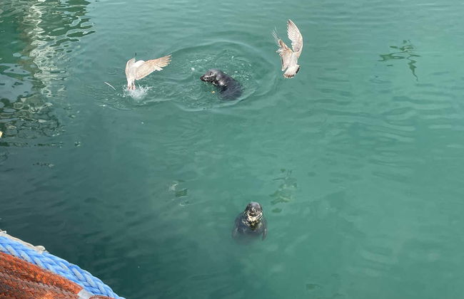 Escursione a Howth e Malahide - Photo 5