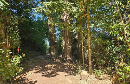 Beautiful Alamedas, un santuario donde el tiempo se detiene - Foto 119