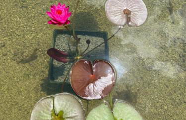 Antica Fattoria Borghesi - Foto 6