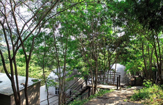 Glamping romantico en Vista Hermosa - Foto 73