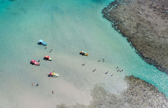 Escursione a São Miguel dos Milagres - Foto 5