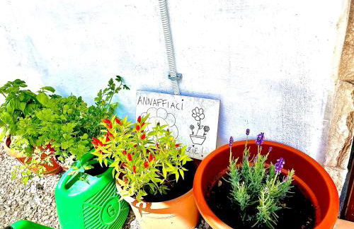 Monolocale Deluxe a 2,7 km dal mare per 2 persone - Foto 14