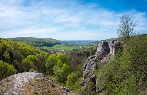 Ferienhaus Sanddornweg an der Therme Obernsees - Foto 8
