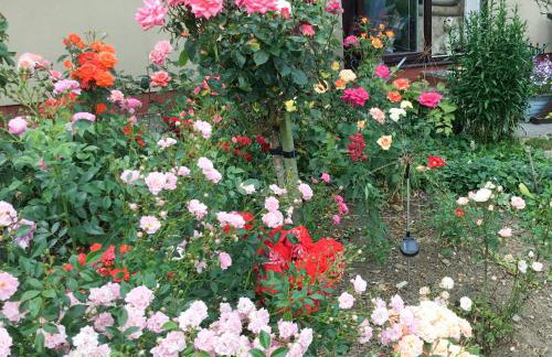 Rose Cottage - Foto 12