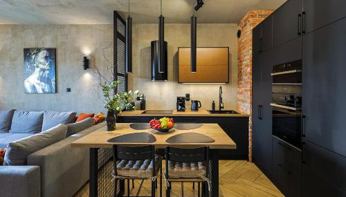 Loft Apartments 2 Uniejów - Foto 5, stove