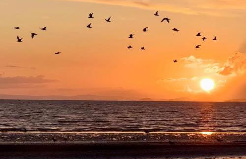 Troon Centre Seaside Retreat -Apt close to Beach Golf and Surf - Foto 15