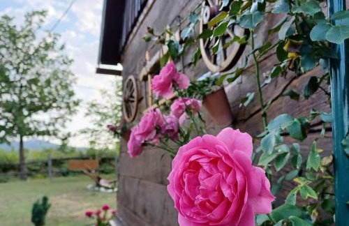 Stara Hi a Vla i - Duplex one bedroom Chalet with Private Garden - Foto 9