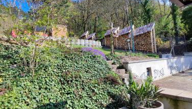 Große Reblaus - Wohnen im Weinberg in der Toskana des Nordens - Foto 4, Garden view