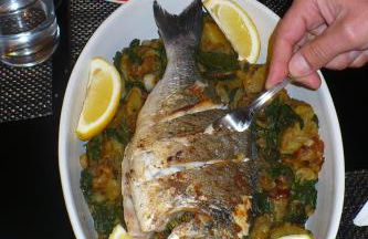 Casa Marques - Photo 14