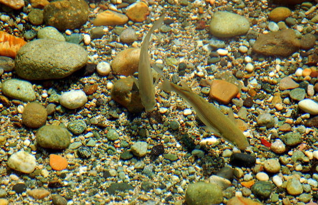 Aeolis Hotel - Foto 24