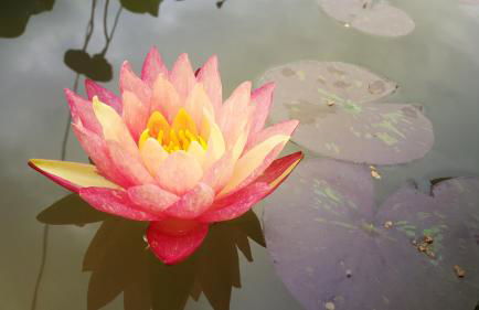 Residence La Quiete - Foto 36