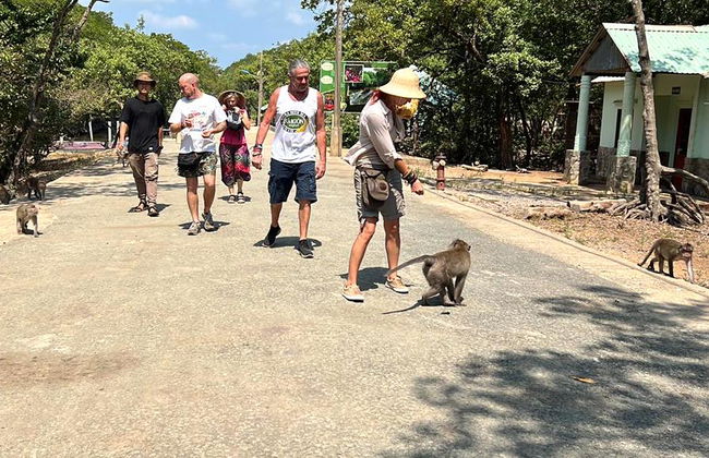 Monkey Island und Mangrovenwald - Private Ganztagestour - Foto 6