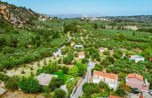 Xanthippi's - Foto 11