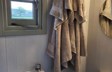 Sunrise Shepherd's Hut - Photo 17