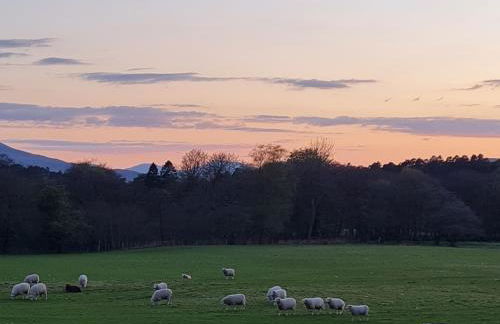 North Face Dwelling at Ardenvale Self Catering - Foto 21