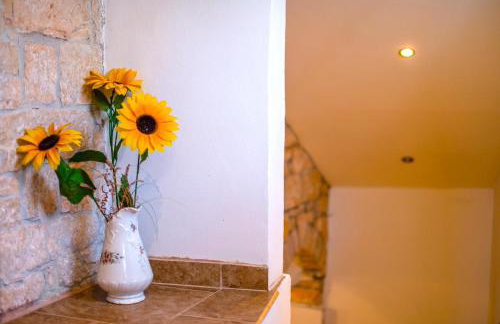 HH Šterna - Foto 20