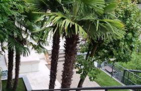 Villa la Gabbianella a Moltrasio, Como - Photo 10