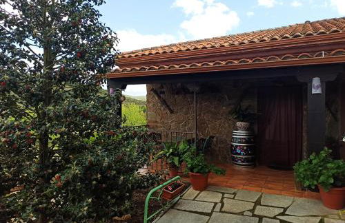 Casa Rural Los Olivos - Foto 24