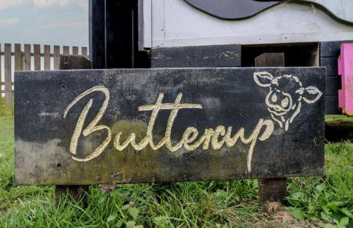 Buttercup Cow Shed 3 - Foto 2