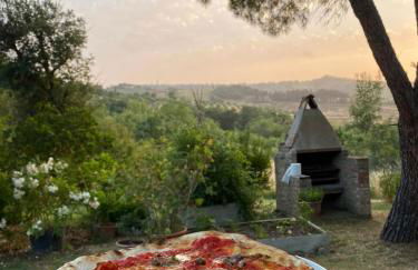 Agriturismo Sant'Emilia - Foto 6