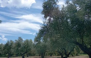 La Familia Luxury Private Maisonettes near the sea - Foto 50