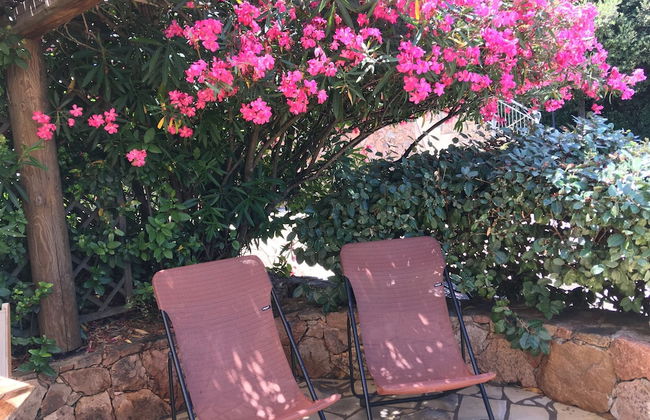 Residence a Licetta - Photo 42