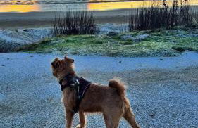 Isla's Haven Holiday Chalet - Foto 3