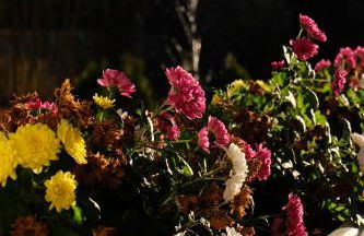 Ferienwohnung Stöckl - Photo 17