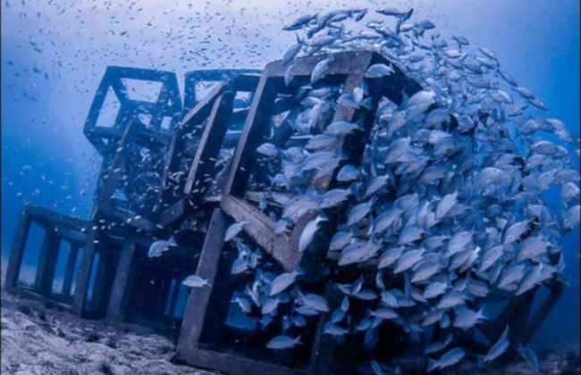 Sail Rock Diving - Foto 6