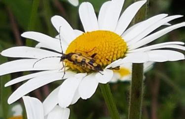 Old Bake House Cottage @ Cwm Mill - Photo 25