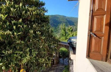 Orizontas Pilio Villa - Photo 24