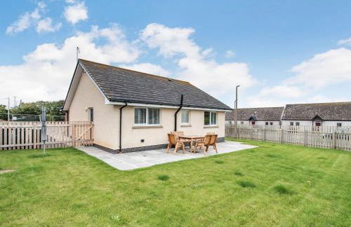 Oystercatcher - Foto 15